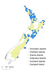 Lastreopsis velutina distribution map based on databased records at AK, CHR & WELT.
 Image: K.Boardman © Landcare Research 2020 CC BY 4.0
